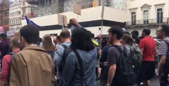 В Великобритании протестуют против приостановки работы парламента