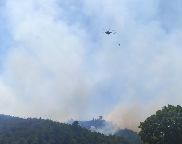 Пожар в Гирканском национальном парке потушен