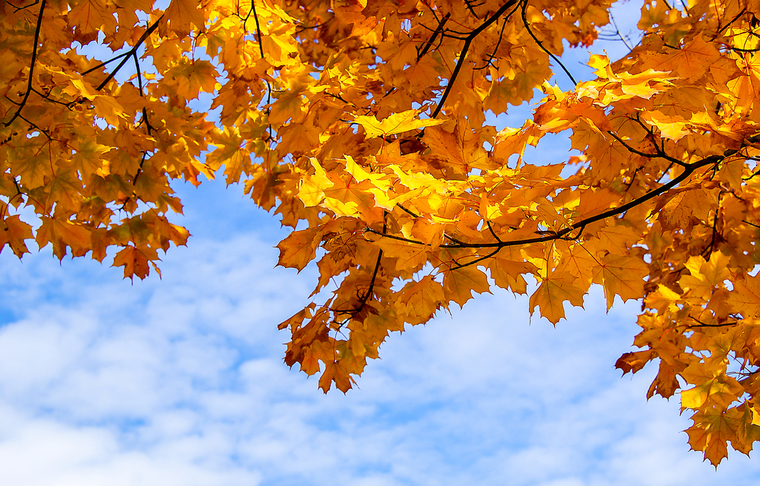 Завтра в Азербайджане будет +34 °C