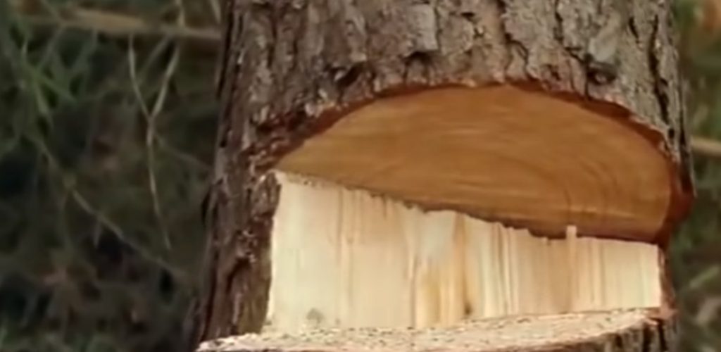 Житель Гедабека погиб при падении срубленного им дерева