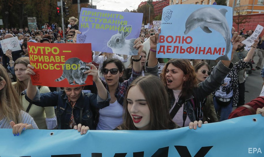 По всей Украине прошли акции в защиту животных