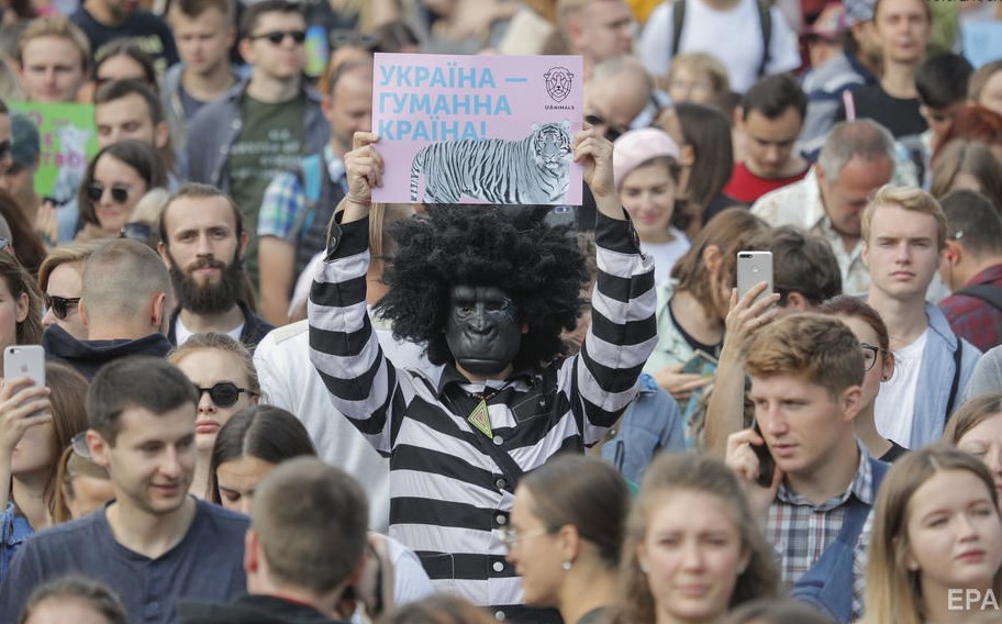По всей Украине прошли акции в защиту животных