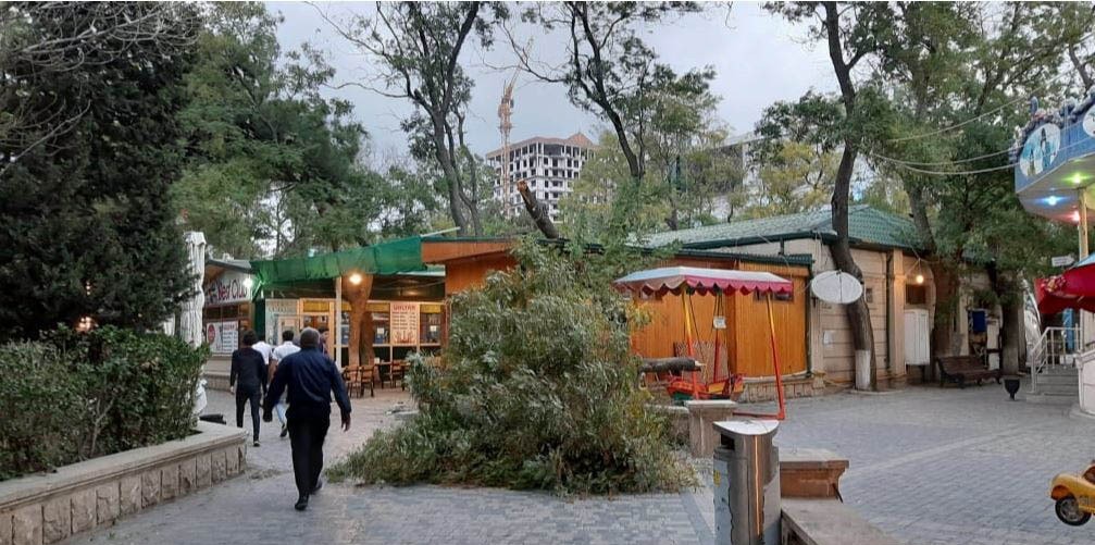 В бакинском парке сломанные ветки деревьев упали на аттракционы