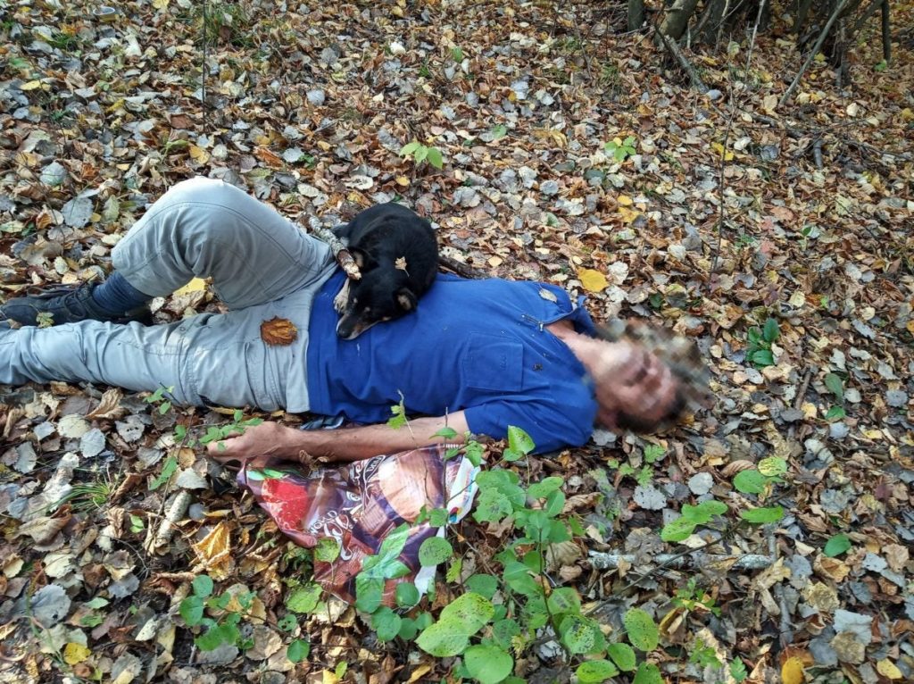 Собака спасла своего хозяина, которому стало плохо в лесу