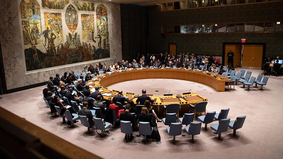 США и Россия не стали осуждать Турцию в СБ ООН