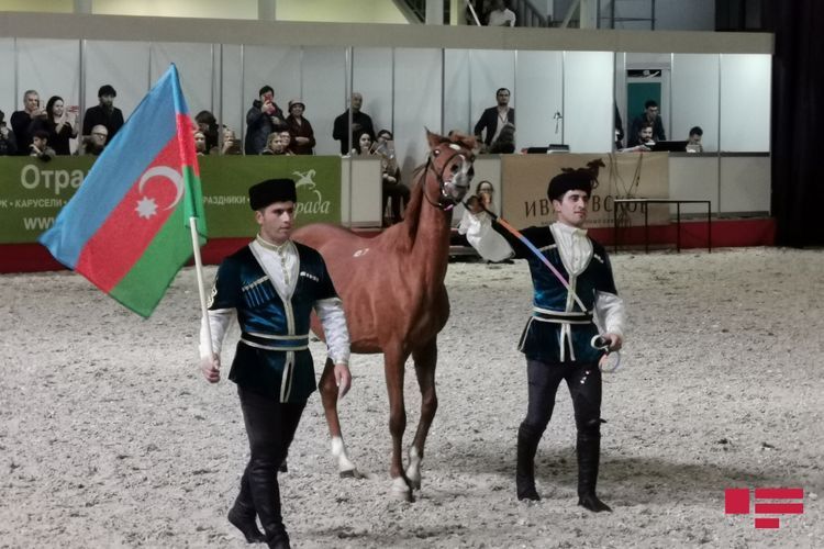 Карабахских скакунов показали на Международной конной выставке в Москве