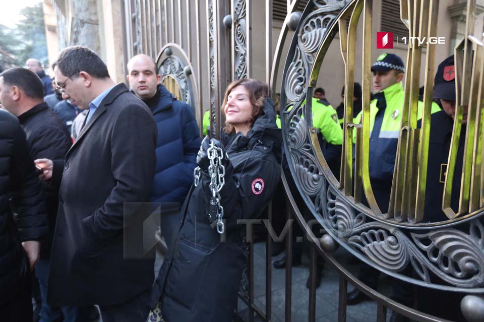 Массовые акции протеста в Тбилиси