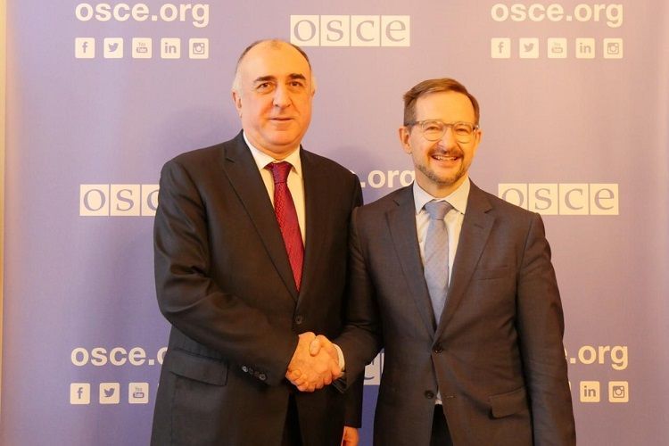 Эльмар Мамедъяров провел встречу с генсеком ОБСЕ