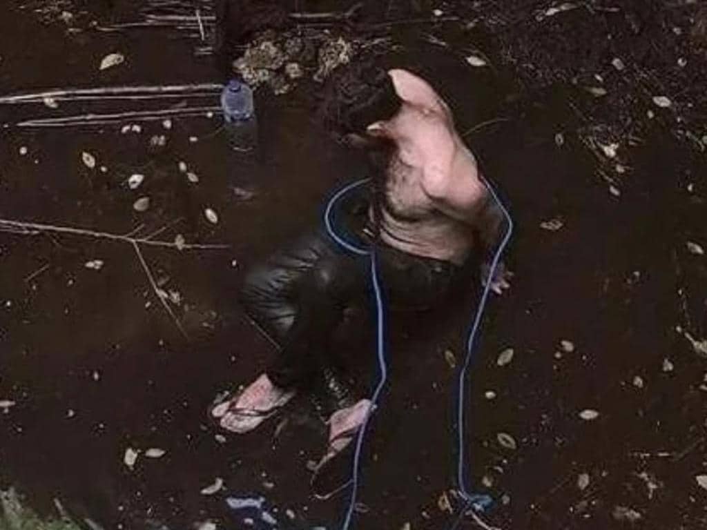 Пес на 6 дней загнал британца в колодец