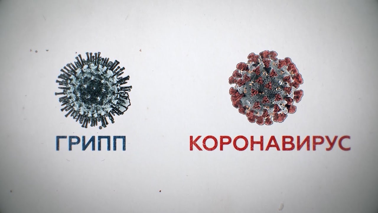Ученые сравнили опасность COVID и гриппа