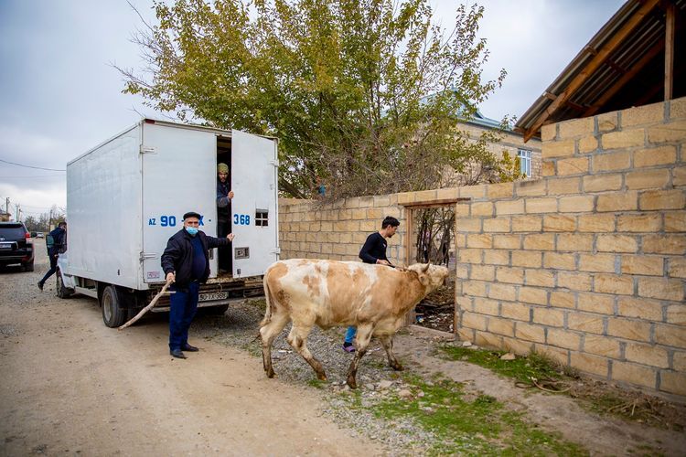 К программе самозанятости привлечены более 700 членов семей шехидов и участников Отечественной войны: фото