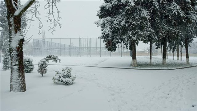 Мартовская метель в Азербайджане