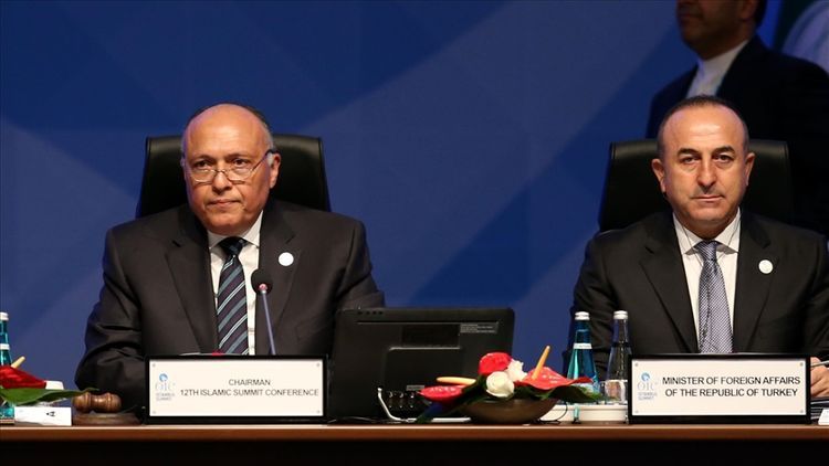 Главы МИД Турции и Египта поговорили по телефону