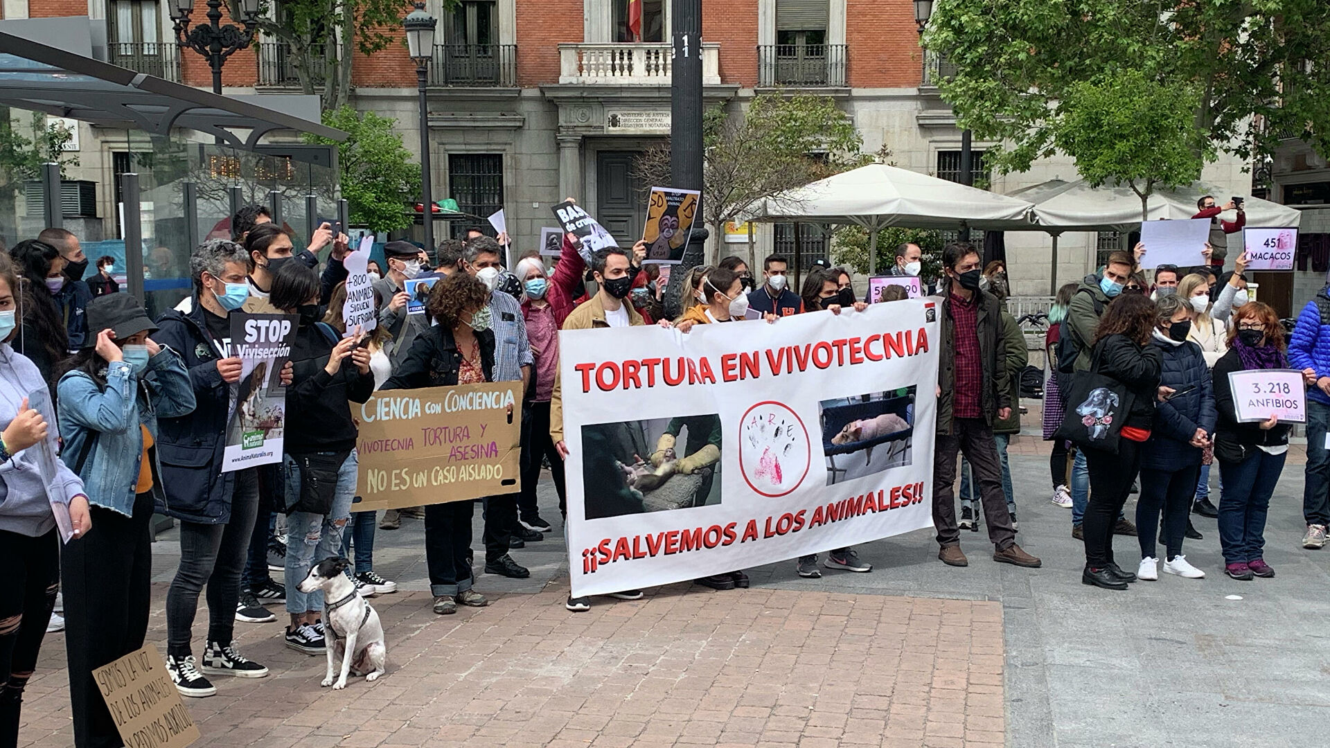 В Мадриде прошла акция протеста противников экспериментов над животными