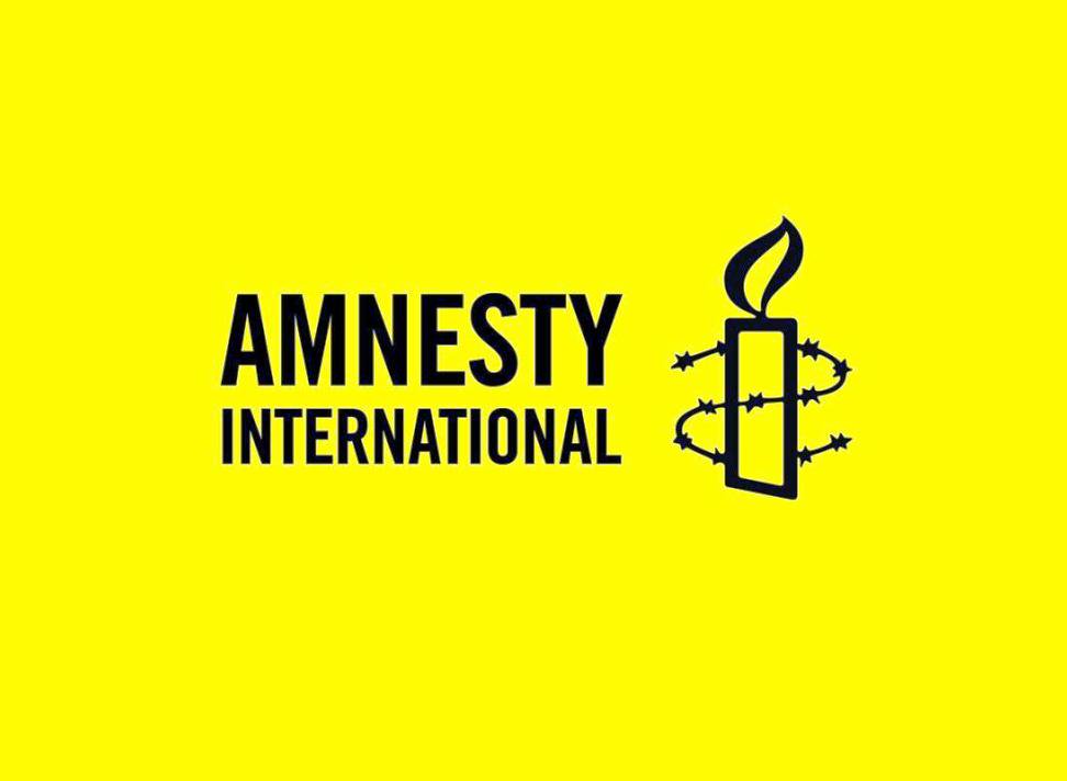Сотрудники Amnesty International обвинили организацию в расизме