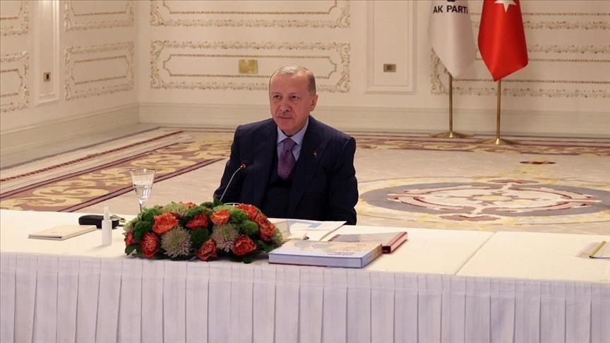 Эрдоган: Турецкие компании сами произвели ударные БПЛА