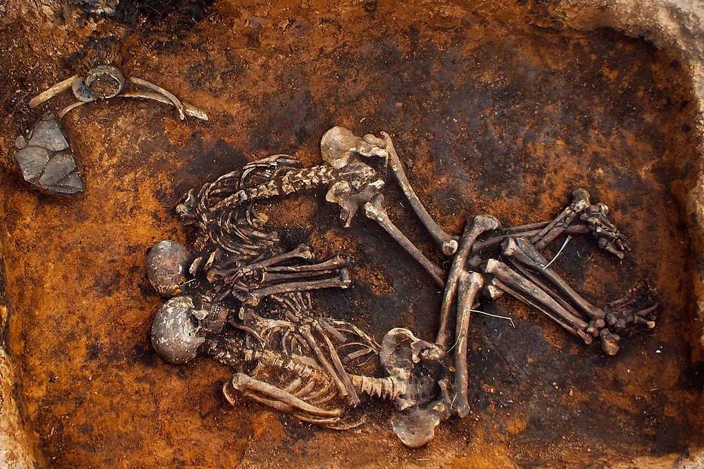 В Латвии на раскопках нашли 5000-летний штамм чумы