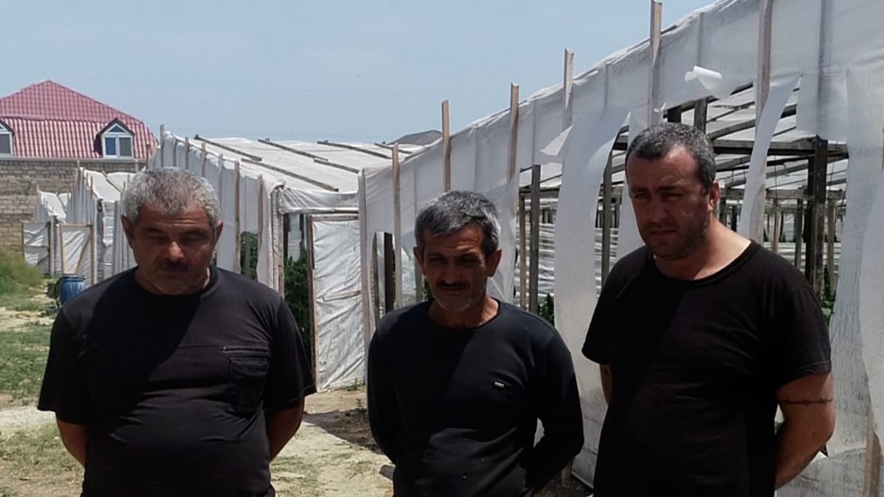 Почти 16 тонн наркотиков изъяли в Азербайджане