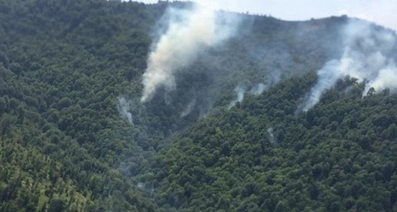 В Габале потушен пожар в горах