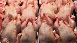 Куда пропала курица? В отрасли объяснили ситуацию