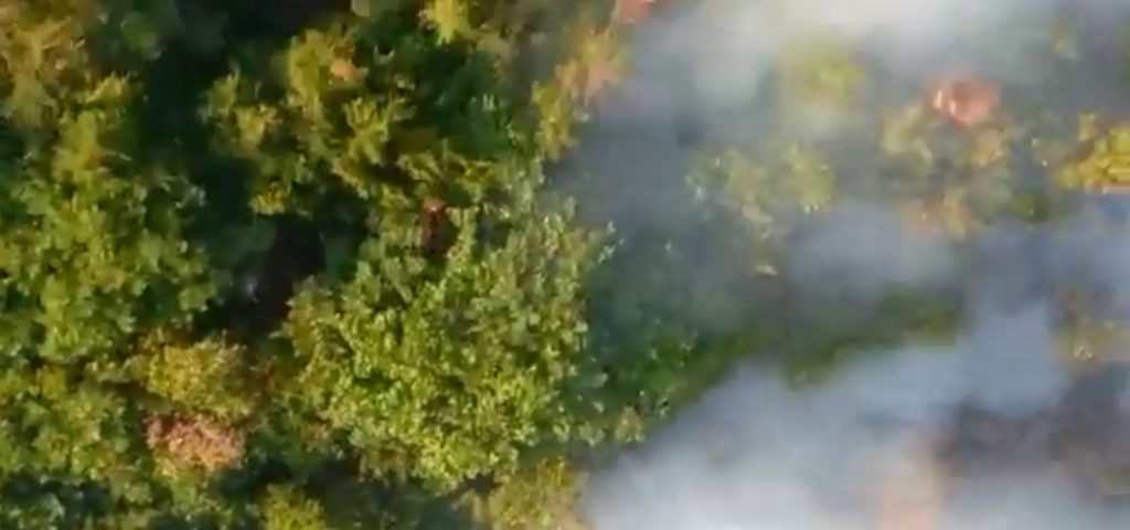 Пожар в горах Исмаиллы локализован