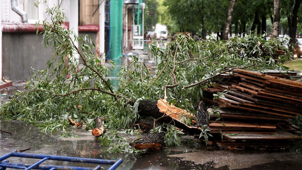В центре Афин во время ужина посла США и проармянского сенатора упал тополь
