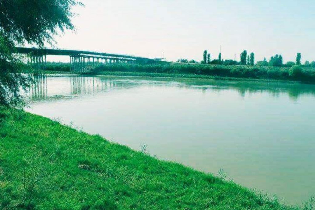 В Куре обнаружено тело Кеннеди