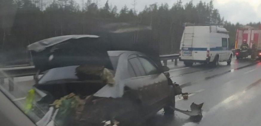 В Ленинградской области убили уроженца Еревана