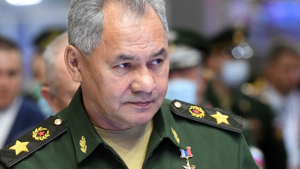 Шойгу заявил о слежке за военными кораблями США в Черном море