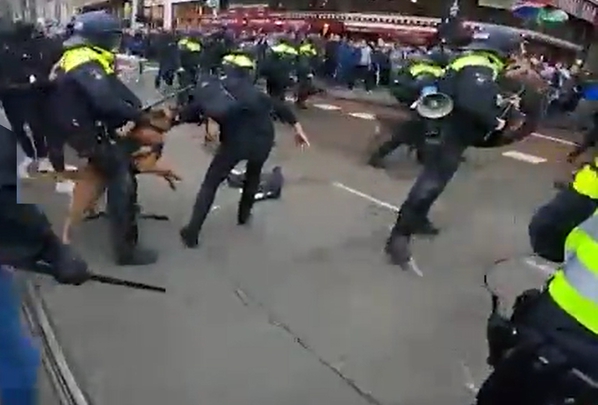 Полиция в Амстердаме спустила собак на участников акции протеста