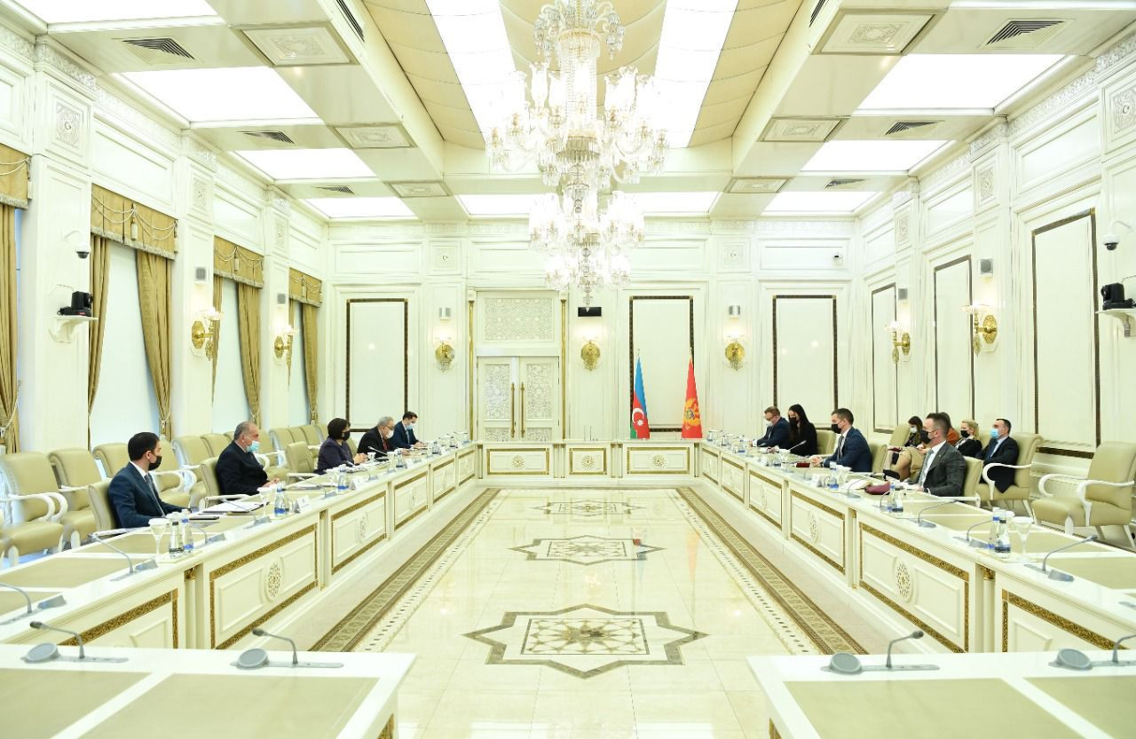 Гафарова приняла черногорского коллегу