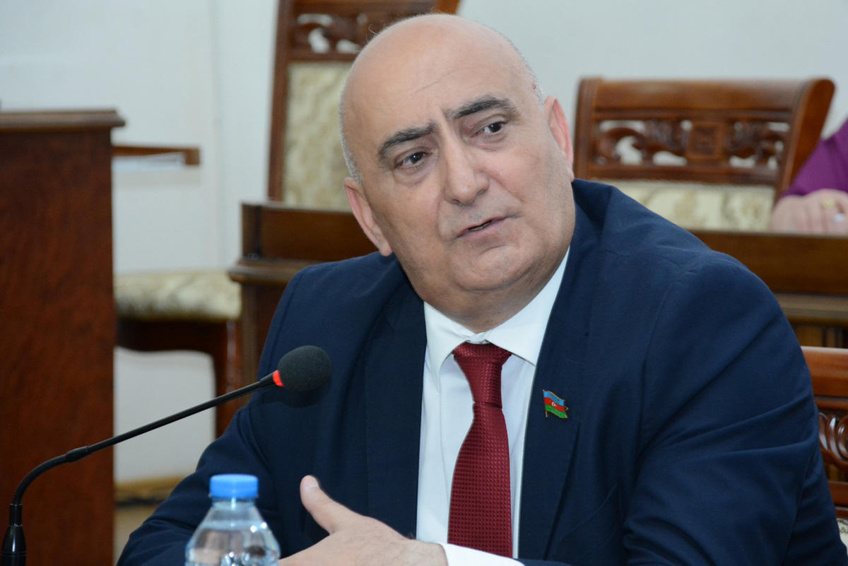 Членов Академии наук призвали отправить в отставку Рамиза Мехтиева