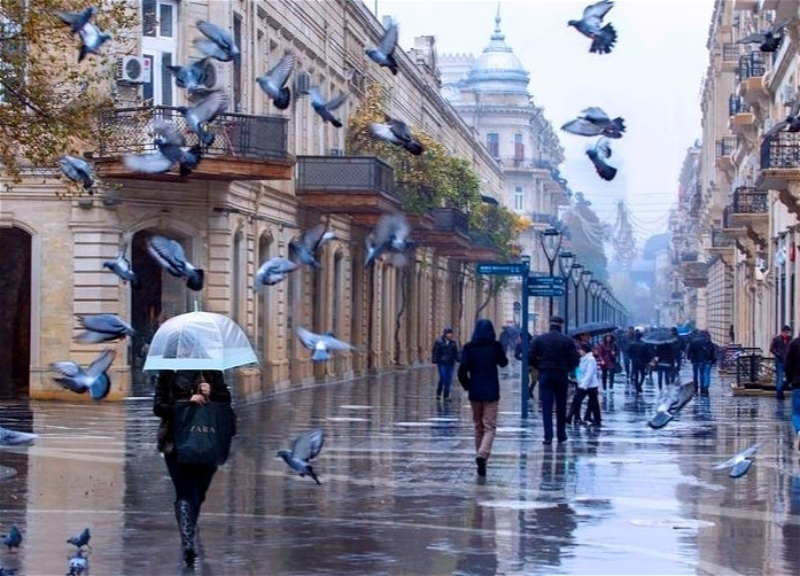 В Баку и регионах ожидается дождь