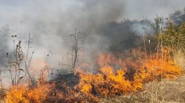 В МЧС обнародовали статистику по природным и техногенным происшествиям
