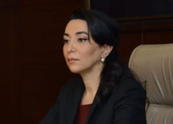 "Экспертное заключение" бывшего генпрокурора МУС Окампо - есть политический заказ