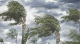 Баку ждет сильный ветер