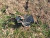 В Сумгайыте обнаружены снаряд и обломки авиабомбы (фото и видео)