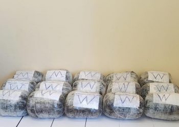 Пограничники предотвратили контрабанду более 20 кг наркотиков из Ирана