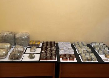 Пограничники пресекли ввоз 87 кг наркотиков в Азербайджан