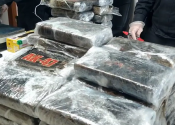 В Италии задержали 2,7 тонны кокаина, летевшего из Эквадора в Армению (видео)