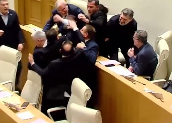 Потасовка в грузинском парламенте (видео)