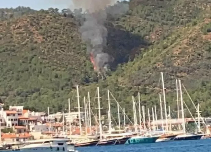 Türkiyədə təyyarələr və vertolyotlar yanğının söndürülməsinə cəlb olunub
