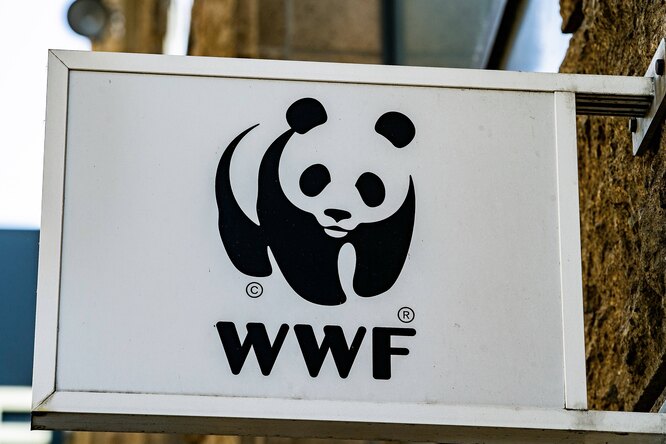 В России признали нежелательным всемирный фонд дикой природы WWF