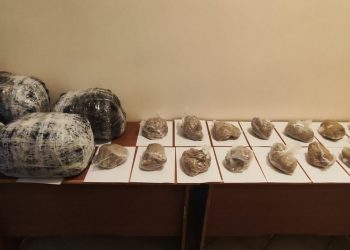 Предотвращена контрабанда большой партии наркотиков из Ирана в Нахчыван (фото)