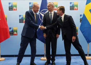 Турция, Швеция и НАТО приняли совместное заявление о шведско-турецком сотрудничестве