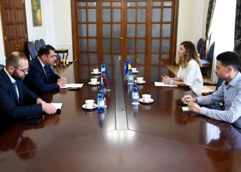 Украина рассчитывает на поддержку Азербайджана (фото)