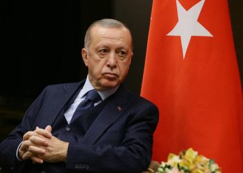 Гюлер: Только Эрдоган может решить эту проблеиу