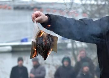 В Стокгольме снова сожгли Коран (видео)
