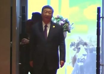 Помощника Си Цзиньпина скрутили охранники на саммите БРИКС (видео)