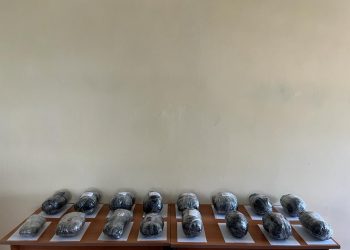 Предотвращена контрабанда наркотиков из Ирана в Азербайджан
